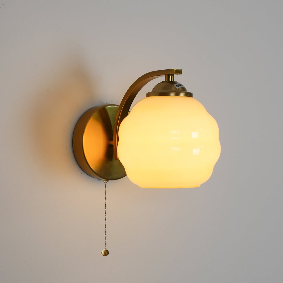 Scalloped Glass Wall Sconce with Ribbed Shade and Metal Backplate